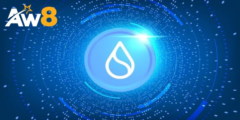 Đặc điểm nổi bật của Sui Coin
