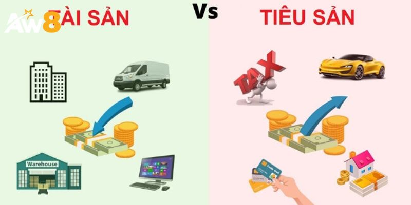 Đặc Điểm Nhận Diện Tiêu Sản: