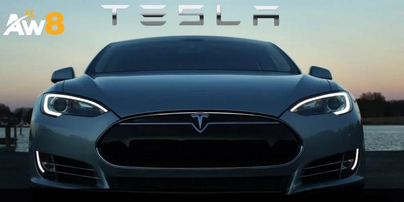 Bạn có thể mua xe Tesla bằng Doge