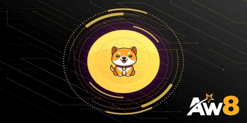 BabyDoge Coin là gì và ra đời khi nào