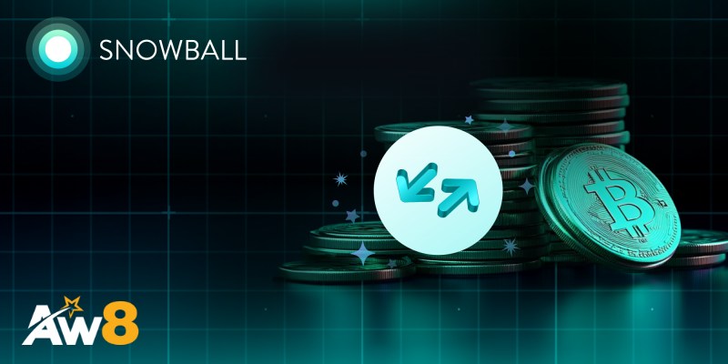 Các tính năng nổi bật của Snowball