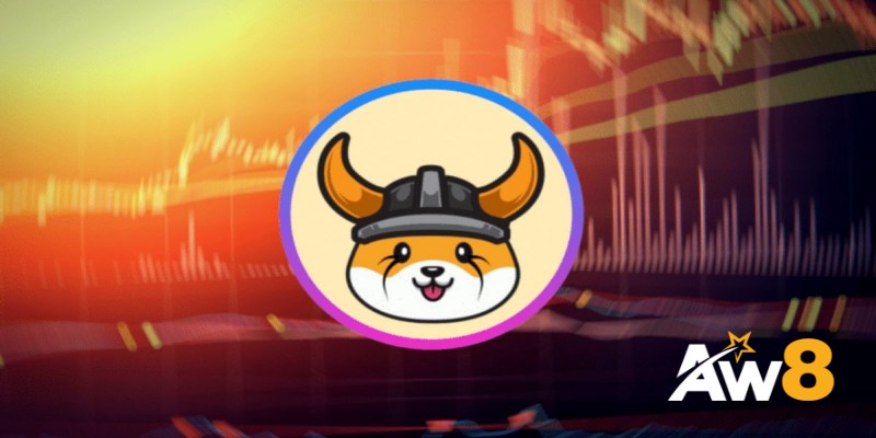 Những rủi ro nào cần lưu ý khi tham gia Floki Coin