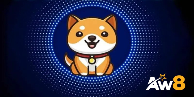 Những tính năng nổi bật của BabyDoge Coin
