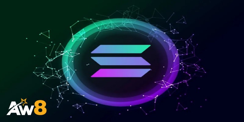 Tại sao Solana Scan quan trọng đối với người dùng blockchain