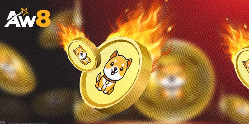 Tiềm năng phát triển của BabyDoge Coin
