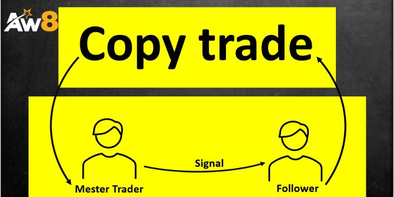 Tiêu chí lựa chọn trader để sao chép