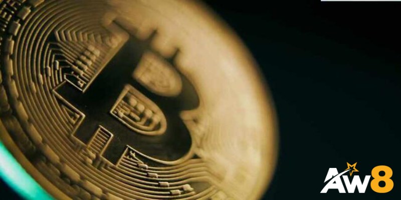 Token ZEK và mô hình kinh tế