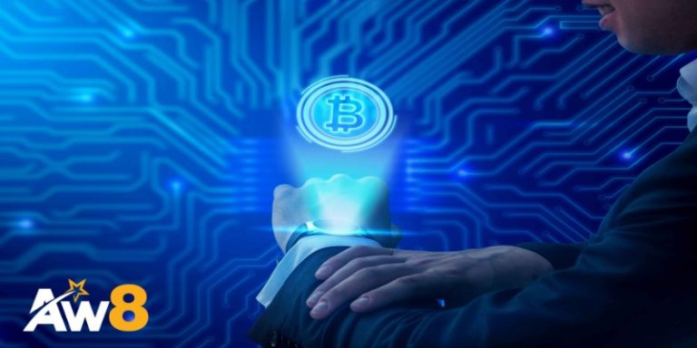 Cấu trúc hoạt động của testnet và cách phân biệt với mainnet