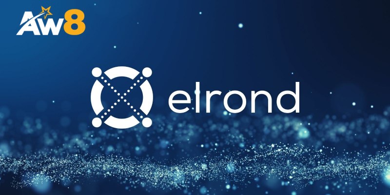 Khái niệm ELD trong tiền mã hóa