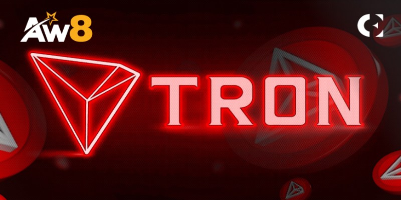 Phân Loại Các Dạng Ví TRON Phổ Biến Hiện Nay