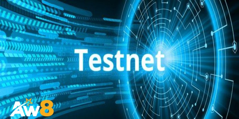 Tại sao cần sử dụng testnet trong phát triển tiền điện tử