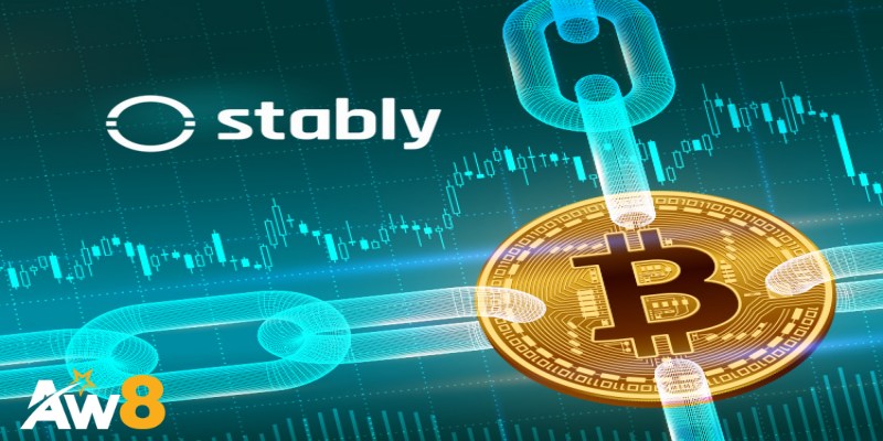 Tổng Quan Về Stably Và Sứ Mệnh Cốt Lõi